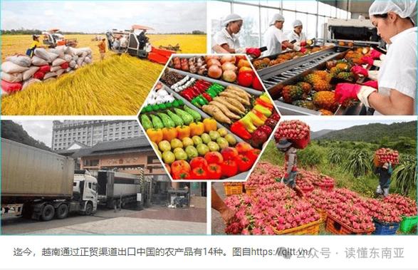 越中关系:经贸合作成亮点