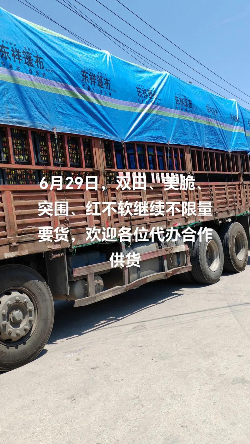 #奋斗的水果人 #双田,美脆,突围,红不软#欢迎各位代办合作 - 抖音